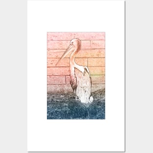 pelican Posters and Art